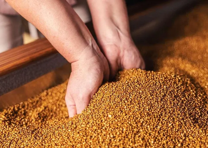 Dromoland Castle 5* Newmarket-on-Fergus